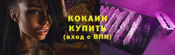 мяу мяу мука Гусиноозёрск