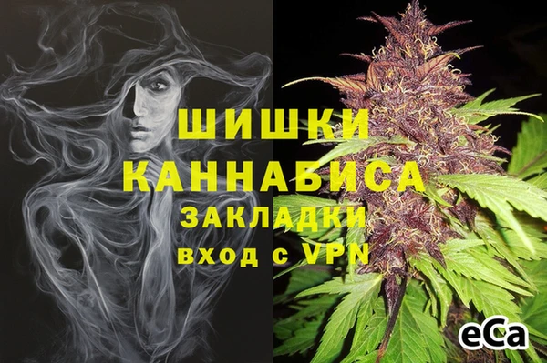 spice Гусь-Хрустальный