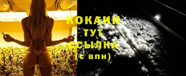 spice Гусь-Хрустальный