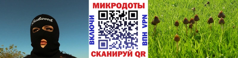 где купить Юрьев-Польский Псилоцибиновые грибы ЛСД